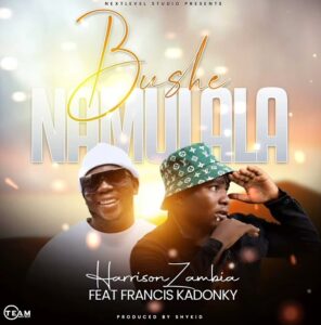 Harrison Zambia ft Francis kadonky - Bushe Namulala || Download mp3