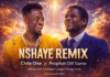 Nshaye remix – Chile One ft Prophet DM Siame || Download MP3 https://youtu.be/bVFymTNpcoU?list=RDbVFymTNpcoU